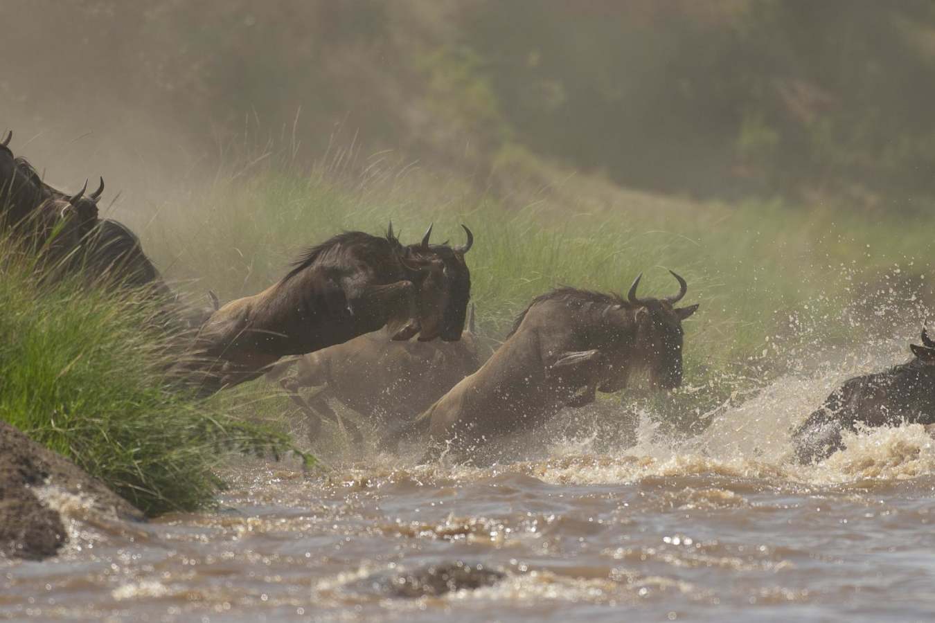 A crossing - Offbeat Mara Camp