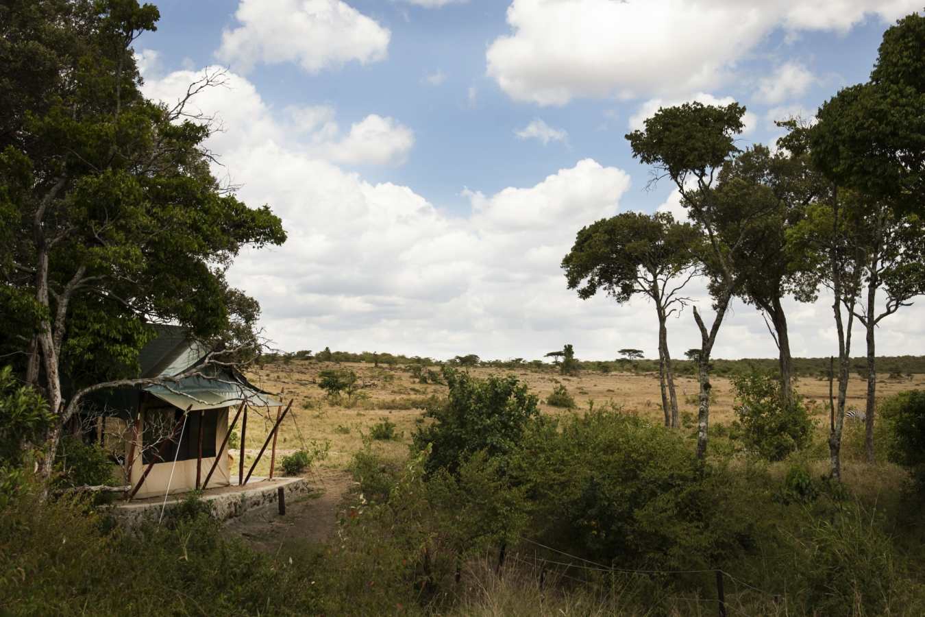 View from Room - Offbeat Mara Camp