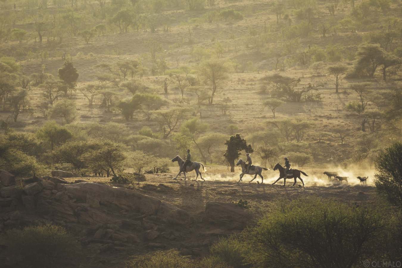 Horse riding - Ol Malo
