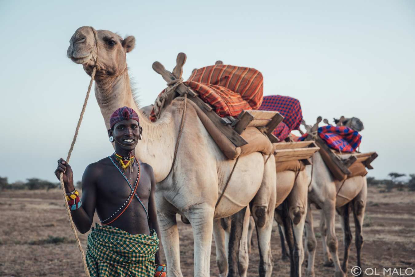 Camel riding - Ol Malo