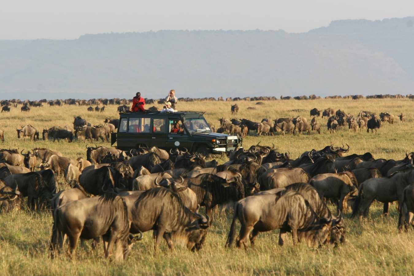 The migration arrives at Rekero - Rekero Camp