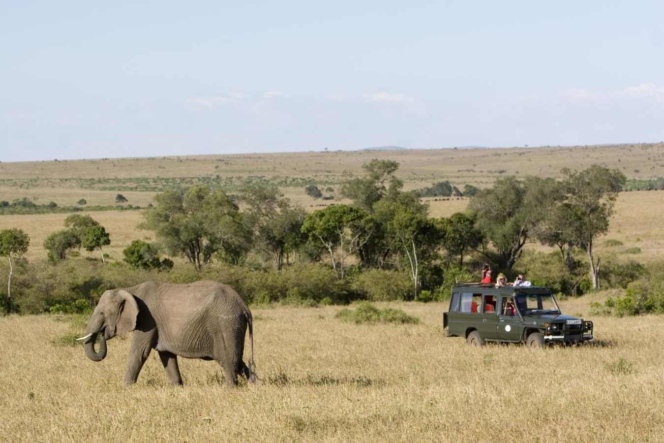 Game drives on the Mara Plains - Rekero Camp