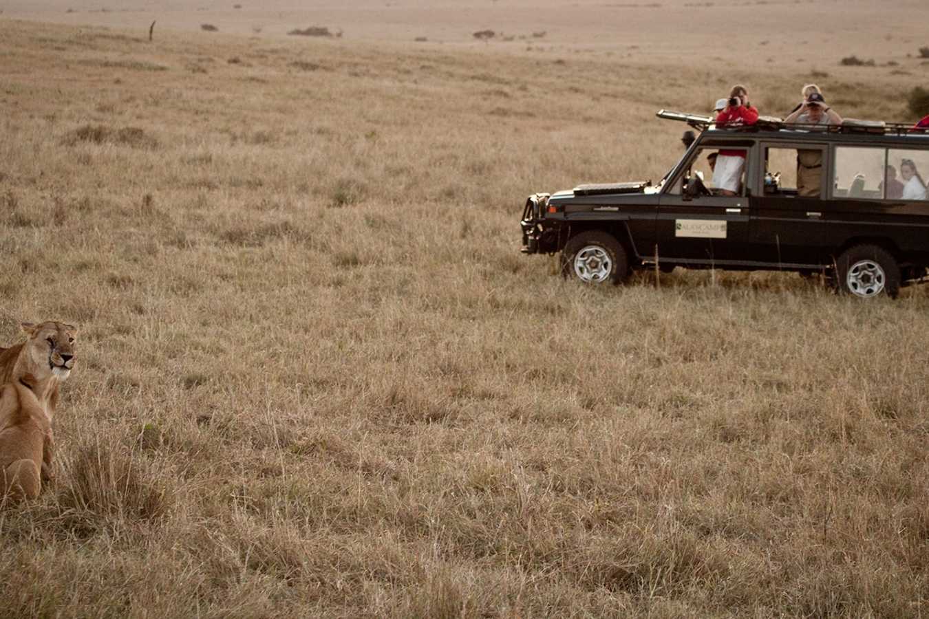 Game drive - Sala's Camp