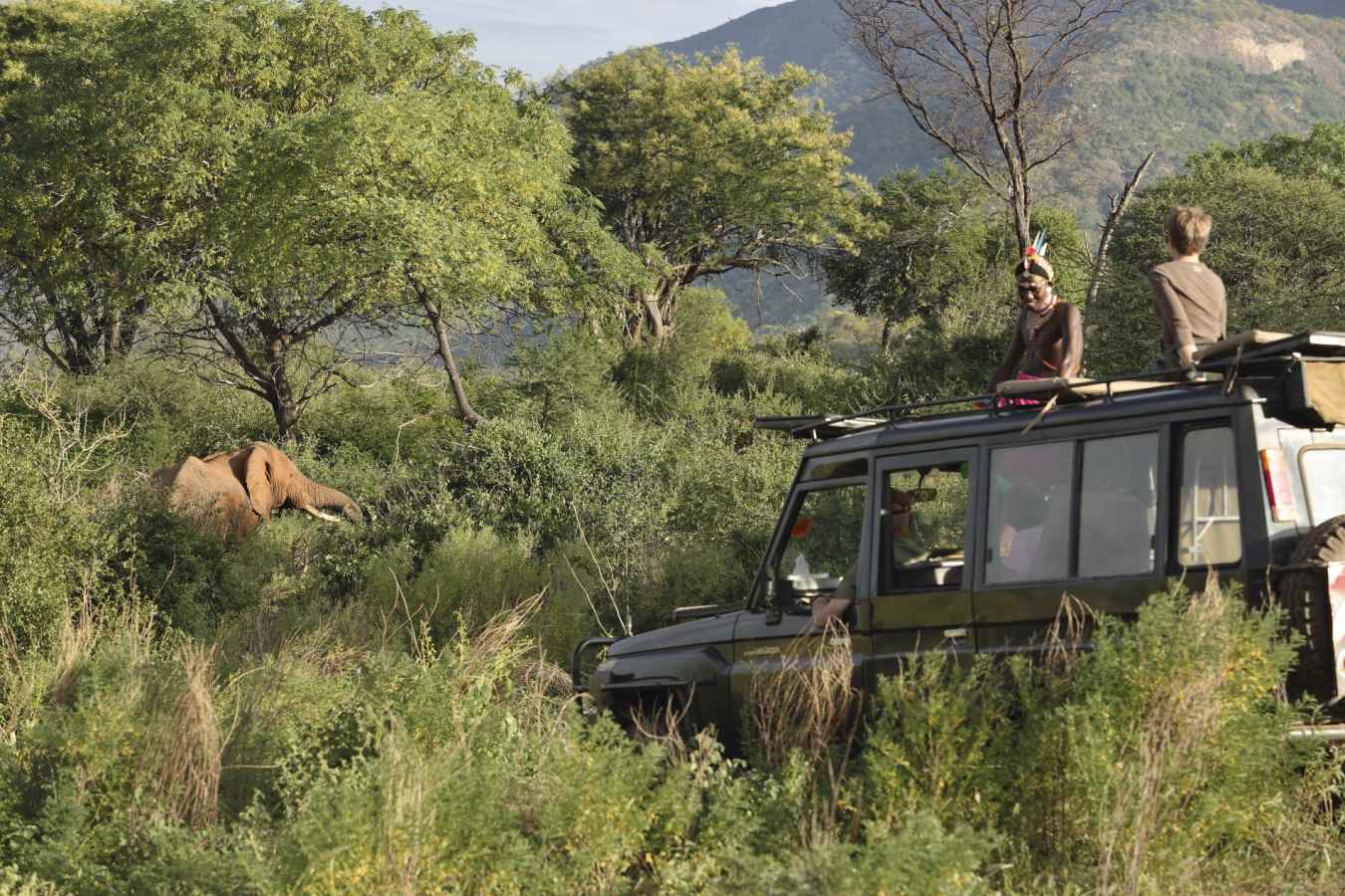 Game drives