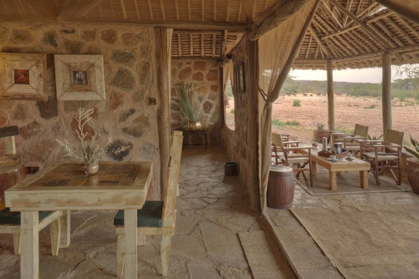 Family banda  - Saruni Rhino