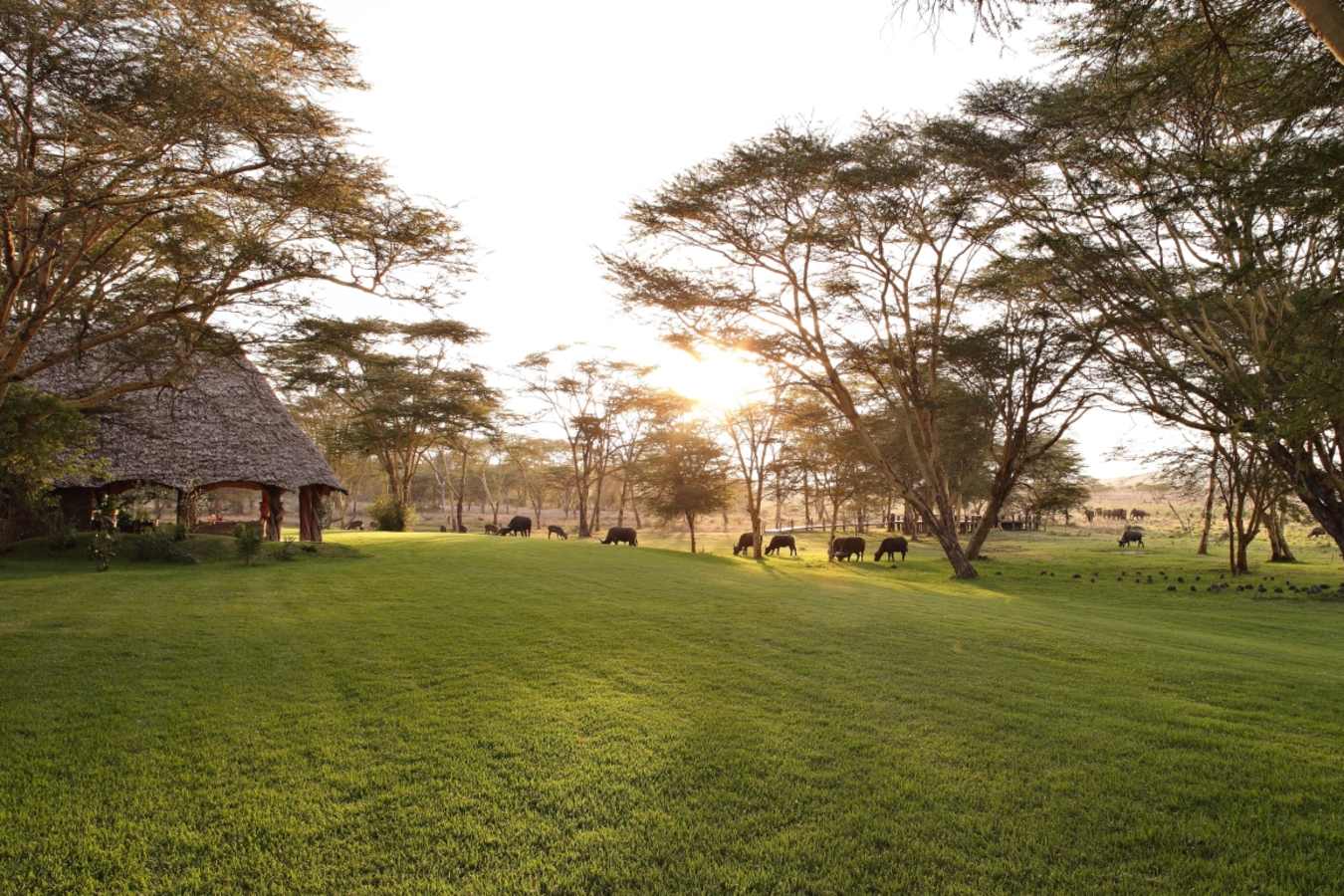 Sirikoi House, Lewa Downs