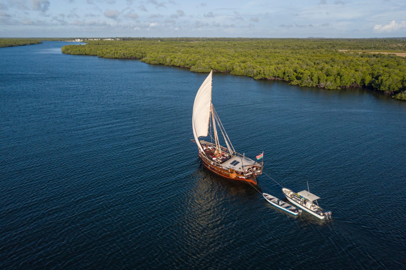 Dhow sailing mangroves  