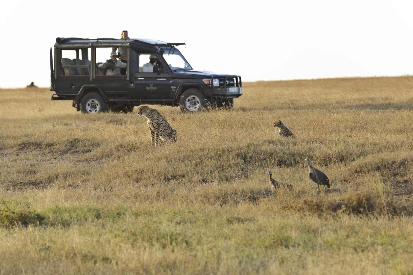 Safari in Laikipia 
