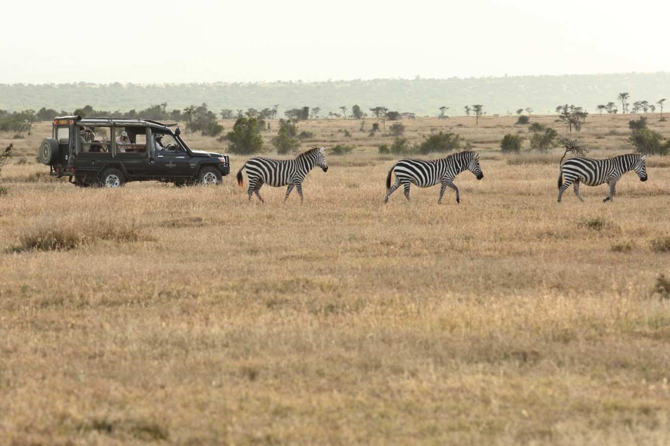 Safari in Laikipia 