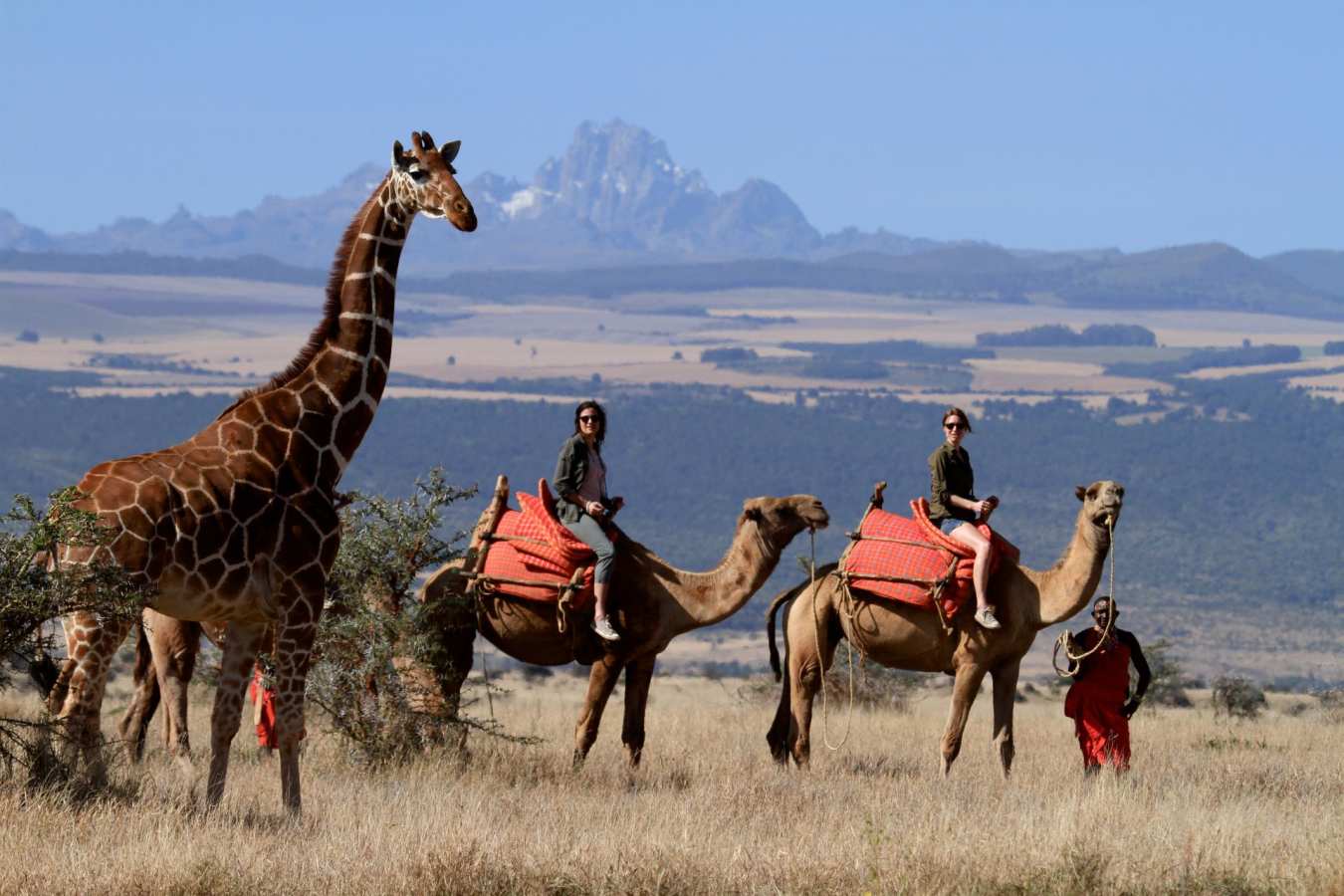 Lewa camel safari  - Kenya and Zanzibar