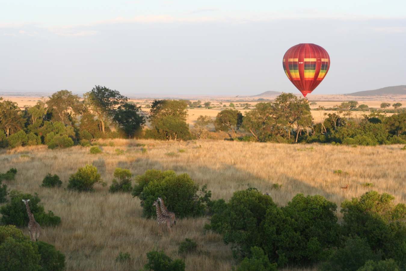 Hot air balloon