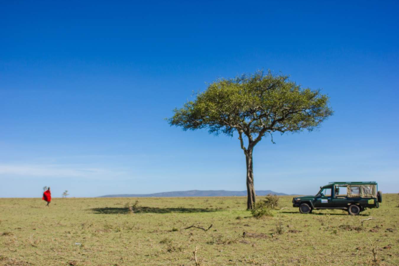 Game drive in Mara