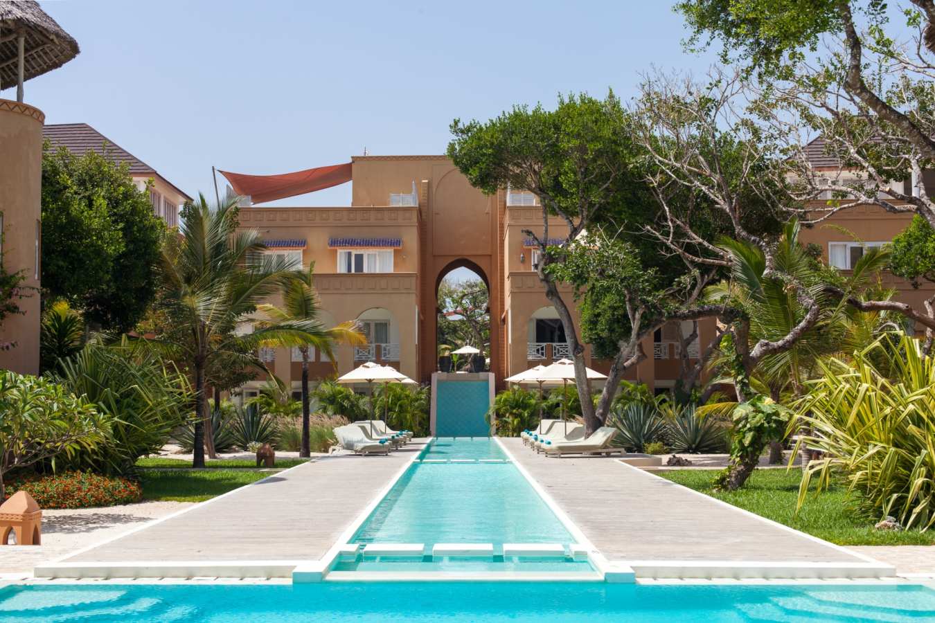 Medina Palms