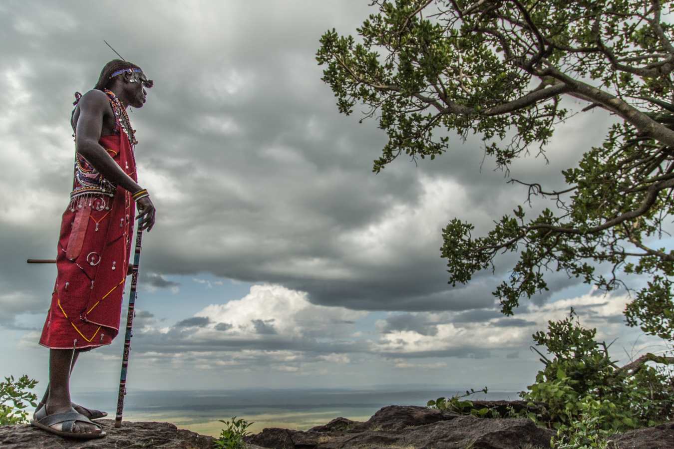 Angama Warrior