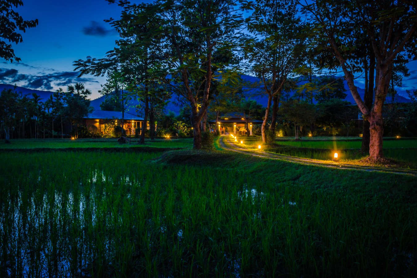 View at night - The River Resort
