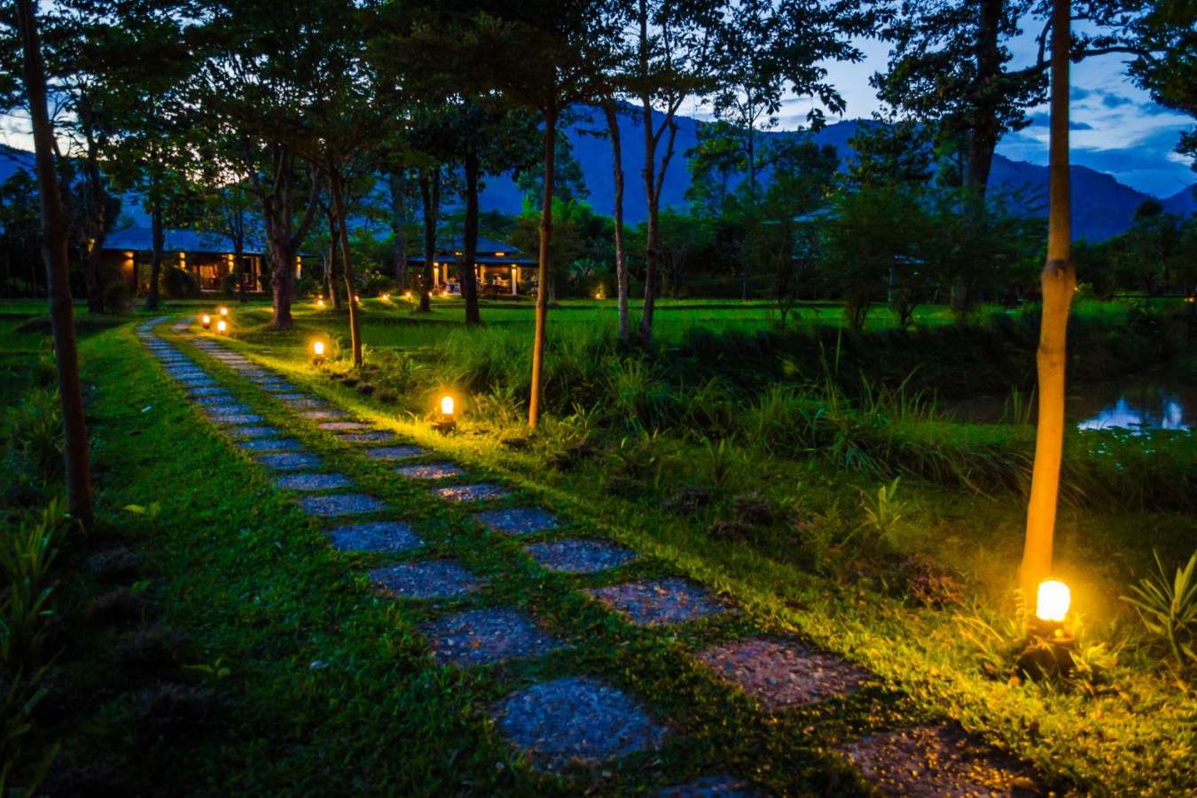 View at night - The River Resort