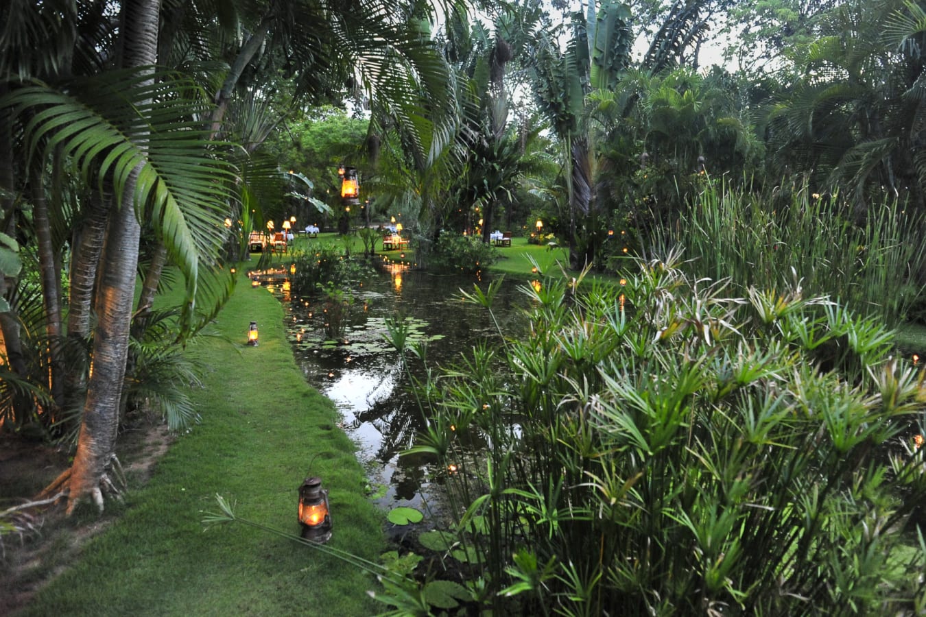 Oasis