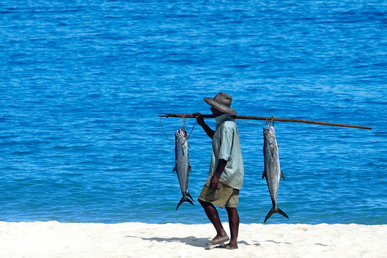 Fisherman - Constance Lodge Tsarabanjina