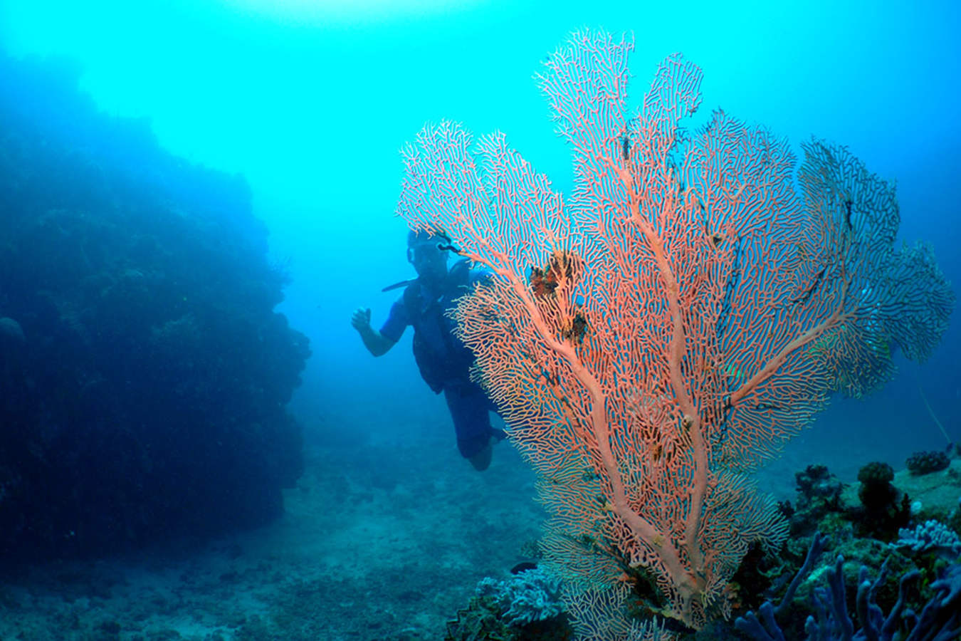 Diving - Constance Lodge Tsarabanjina