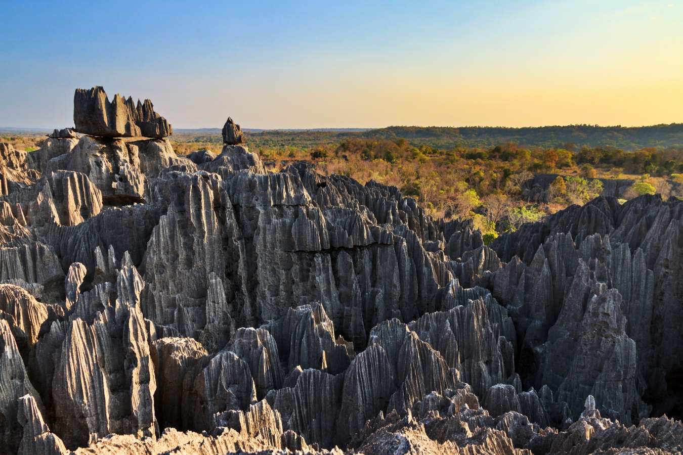 Tsingy de Bemaraha - Le Soleil des Tsingy