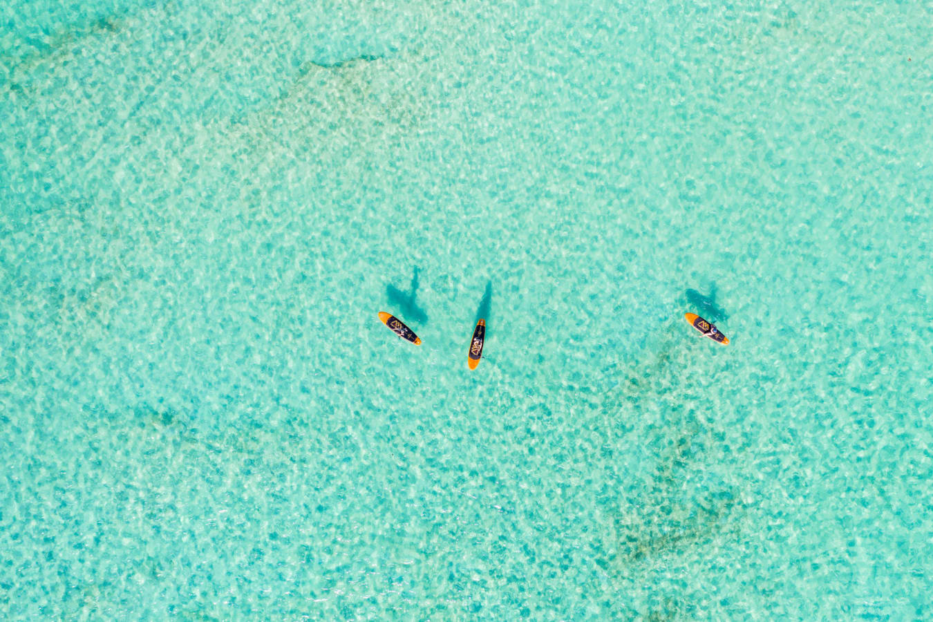 Kayak