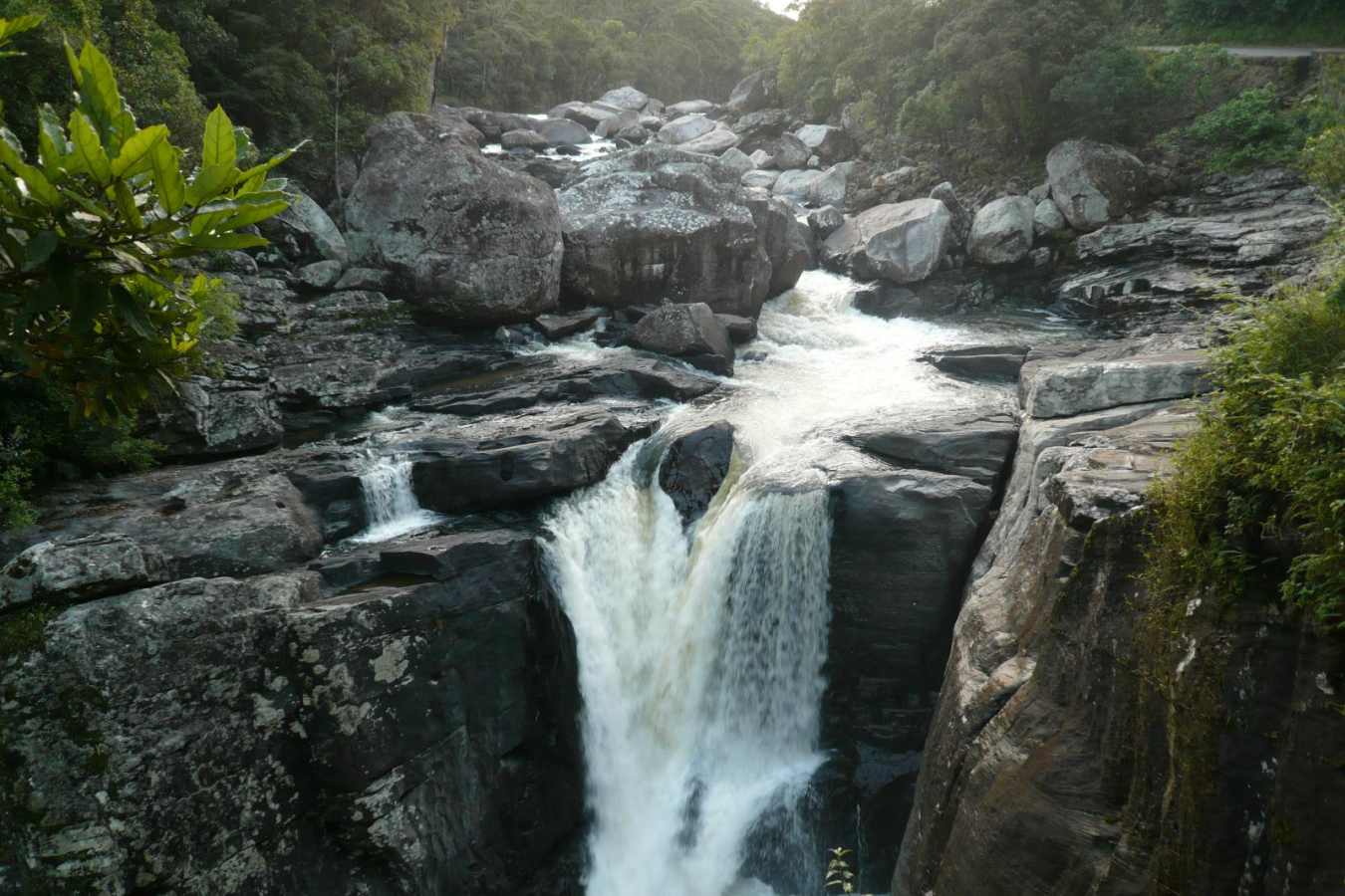 Parc National de Ranomafana - Setam Lodge