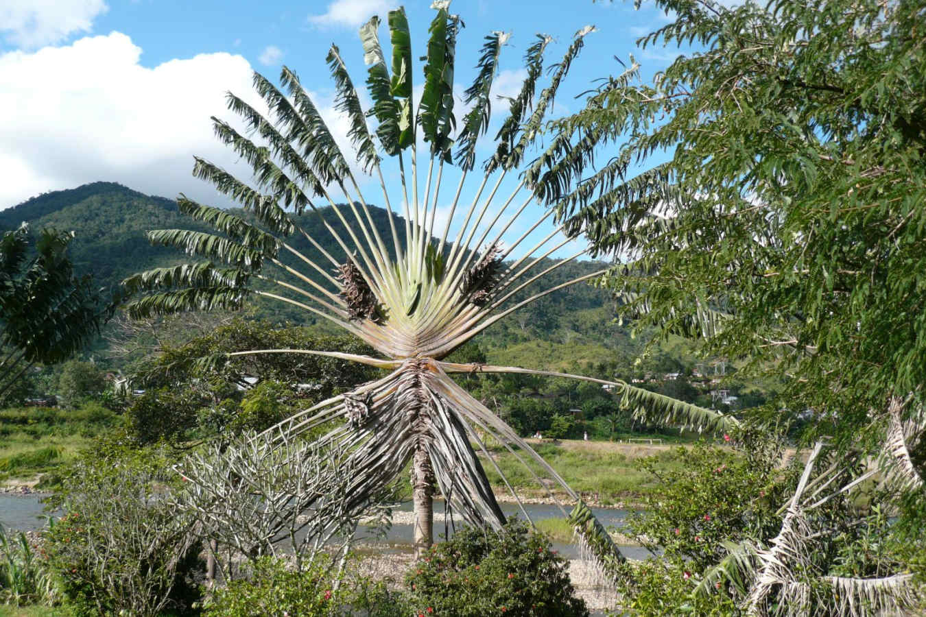 Parc National de Ranomafana - Setam Lodge