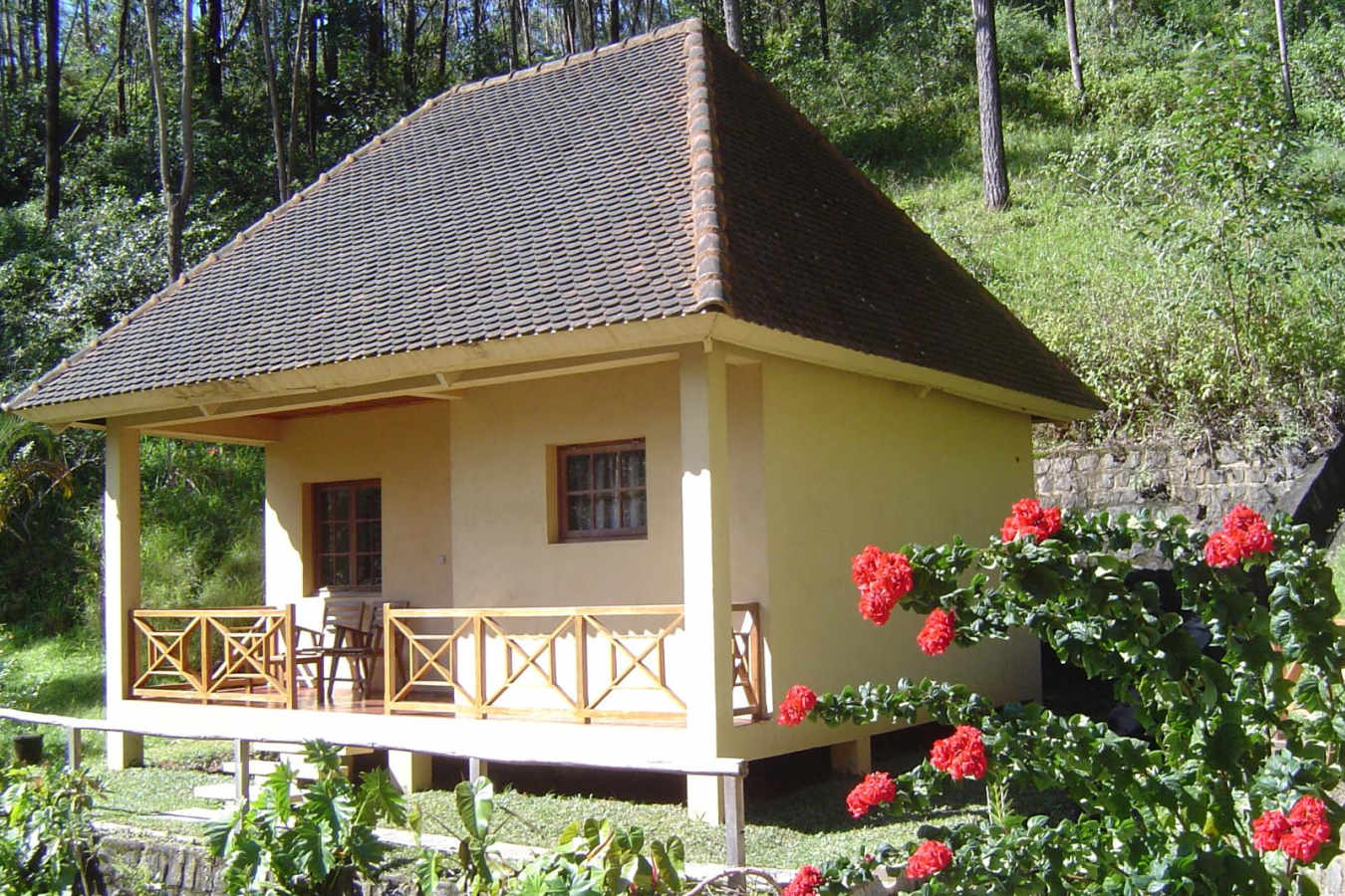 Chalet - Vakona Forest Lodge