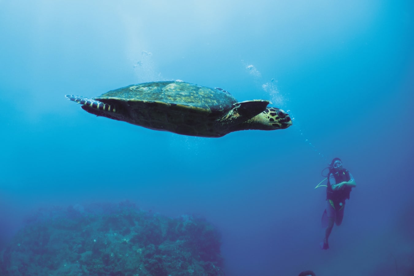 Diving in Tsarabanjina