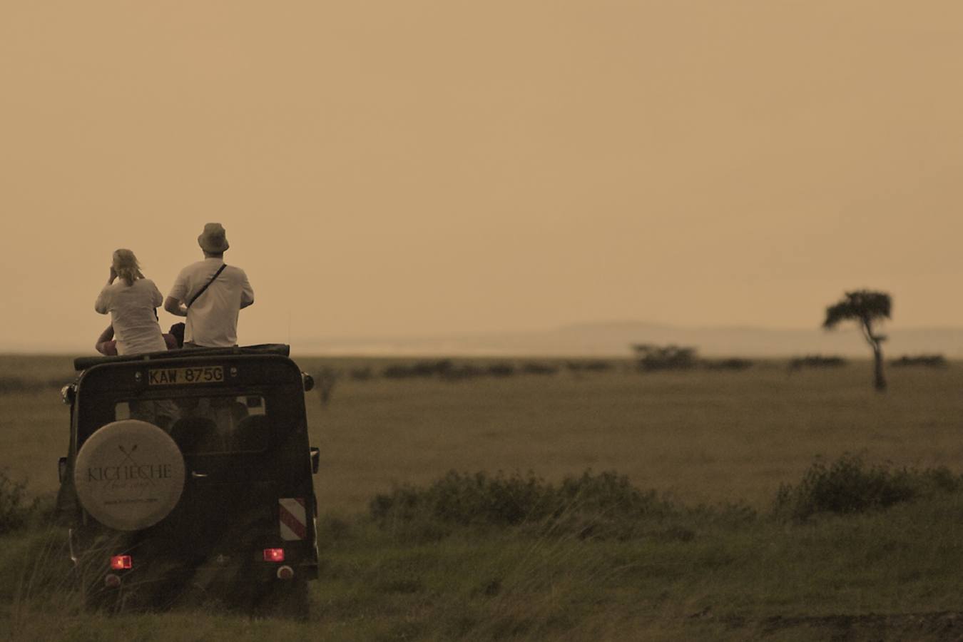 Game drive, Maasai Mara - Wildebeest and Lemurs