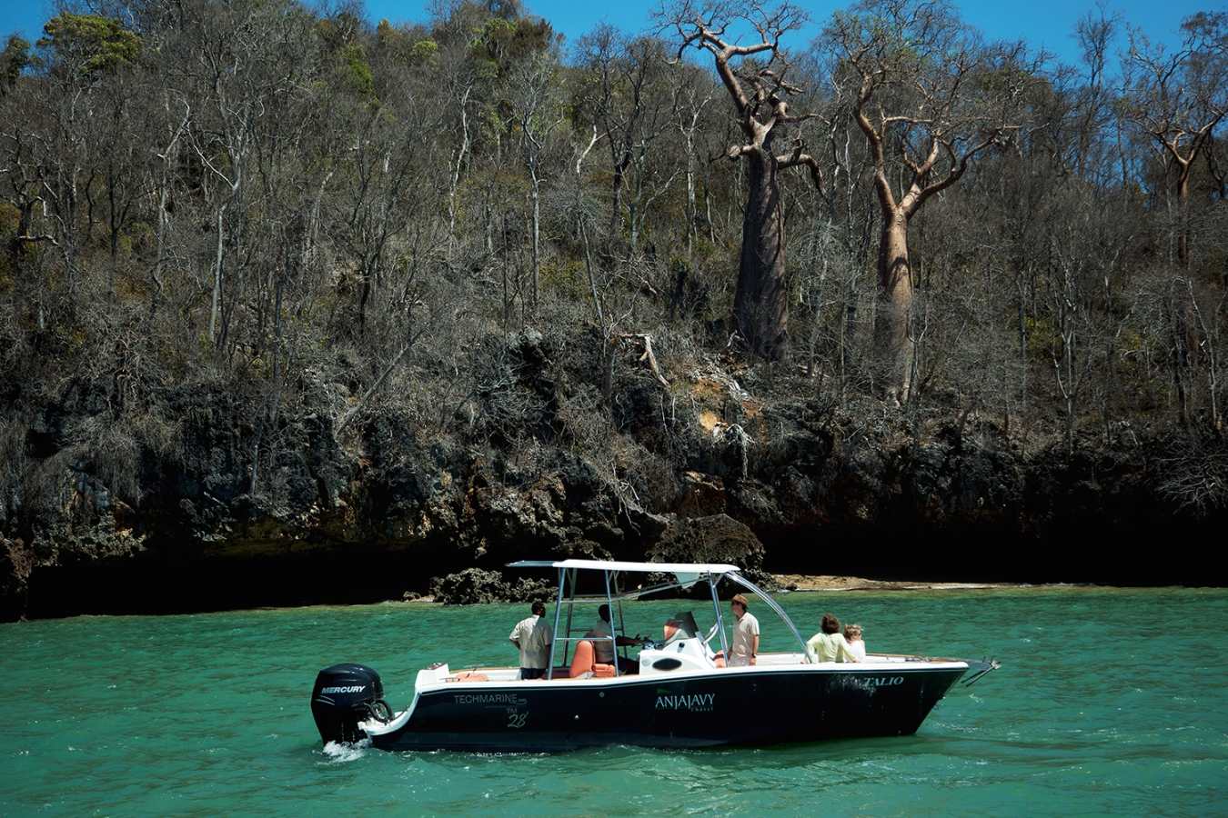 Boat trip, Anjajavy  - Wildebeest and Lemurs