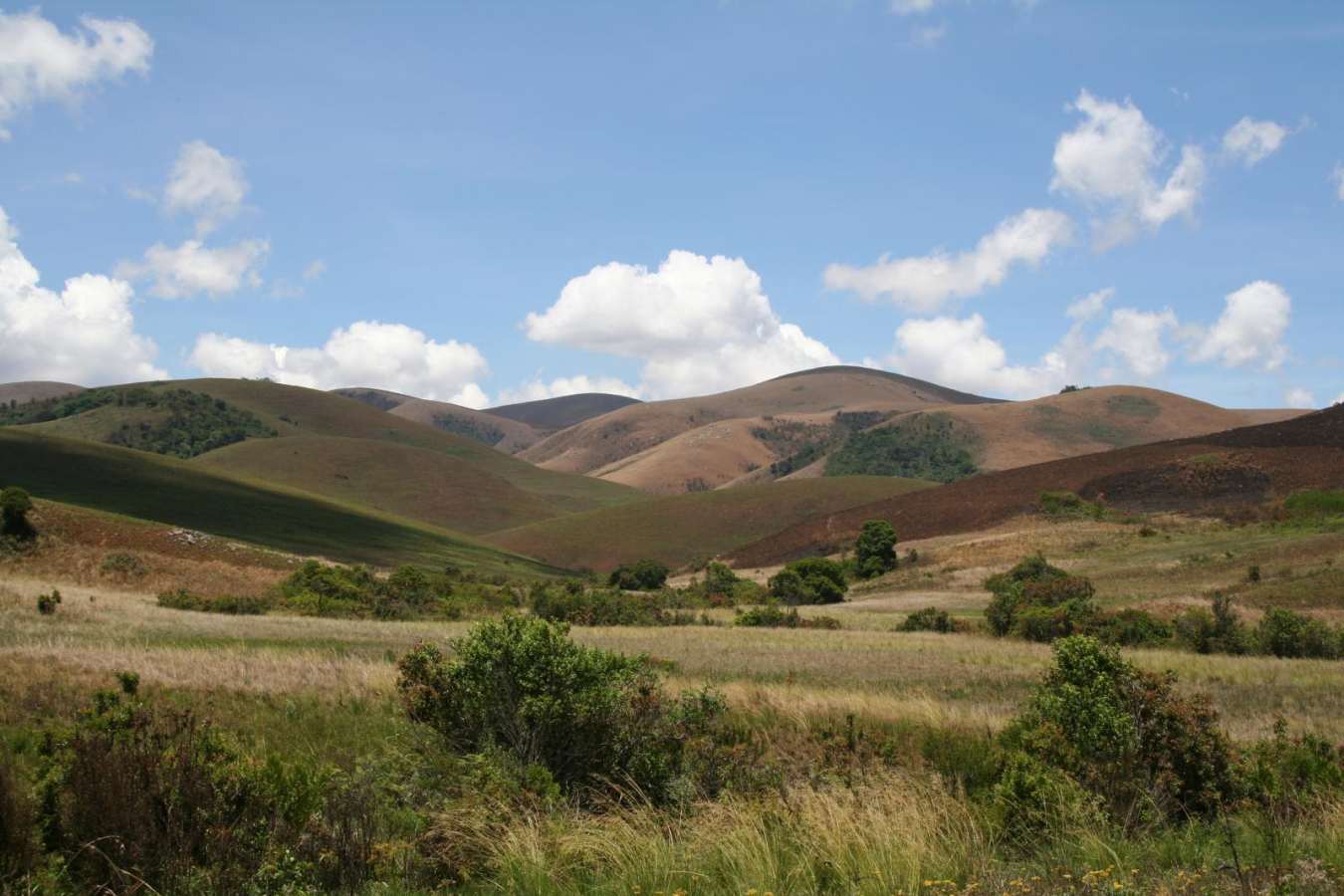 Nyika National Park - Chelinda Lodge