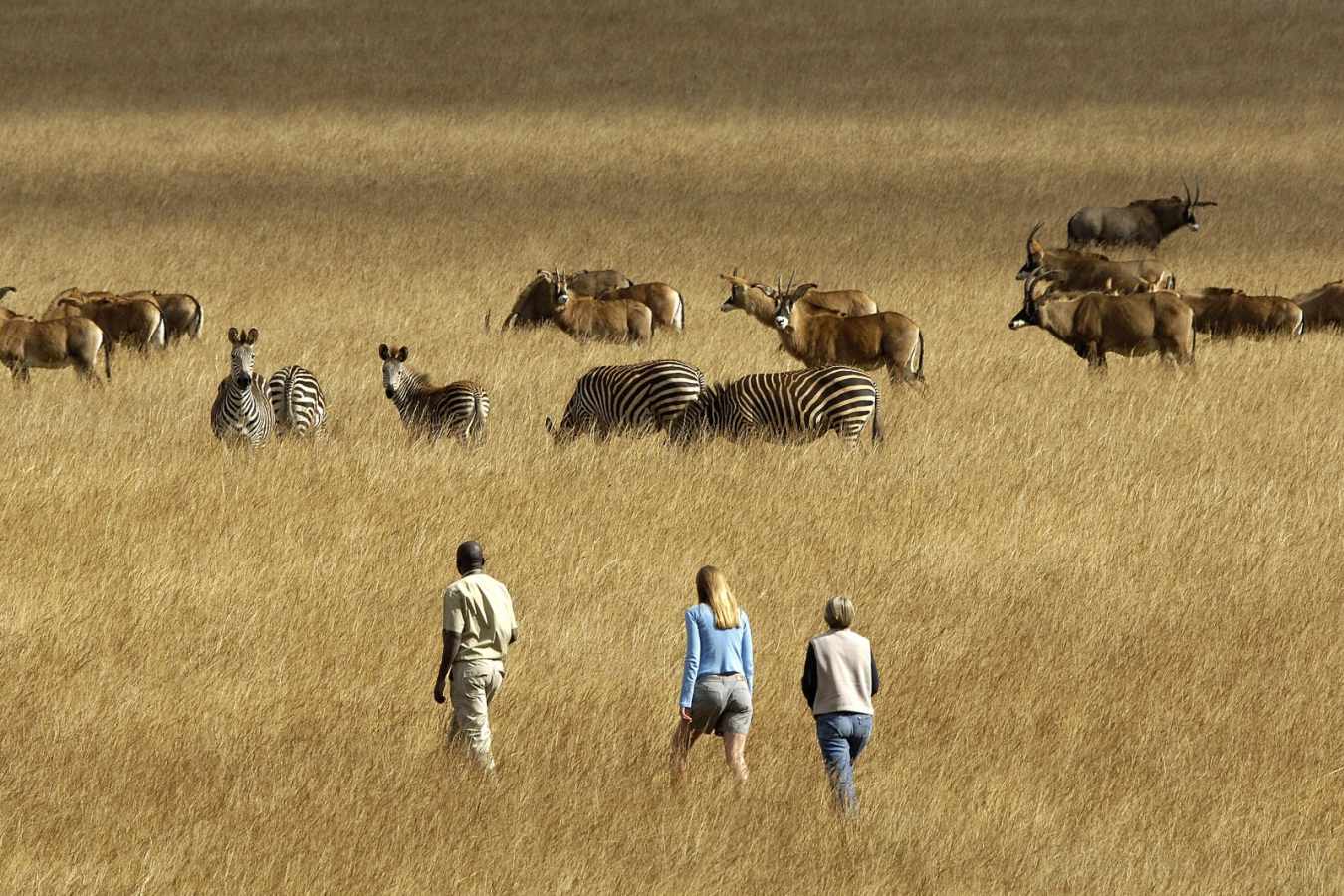 Walking on the Nyika - Chelinda Lodge