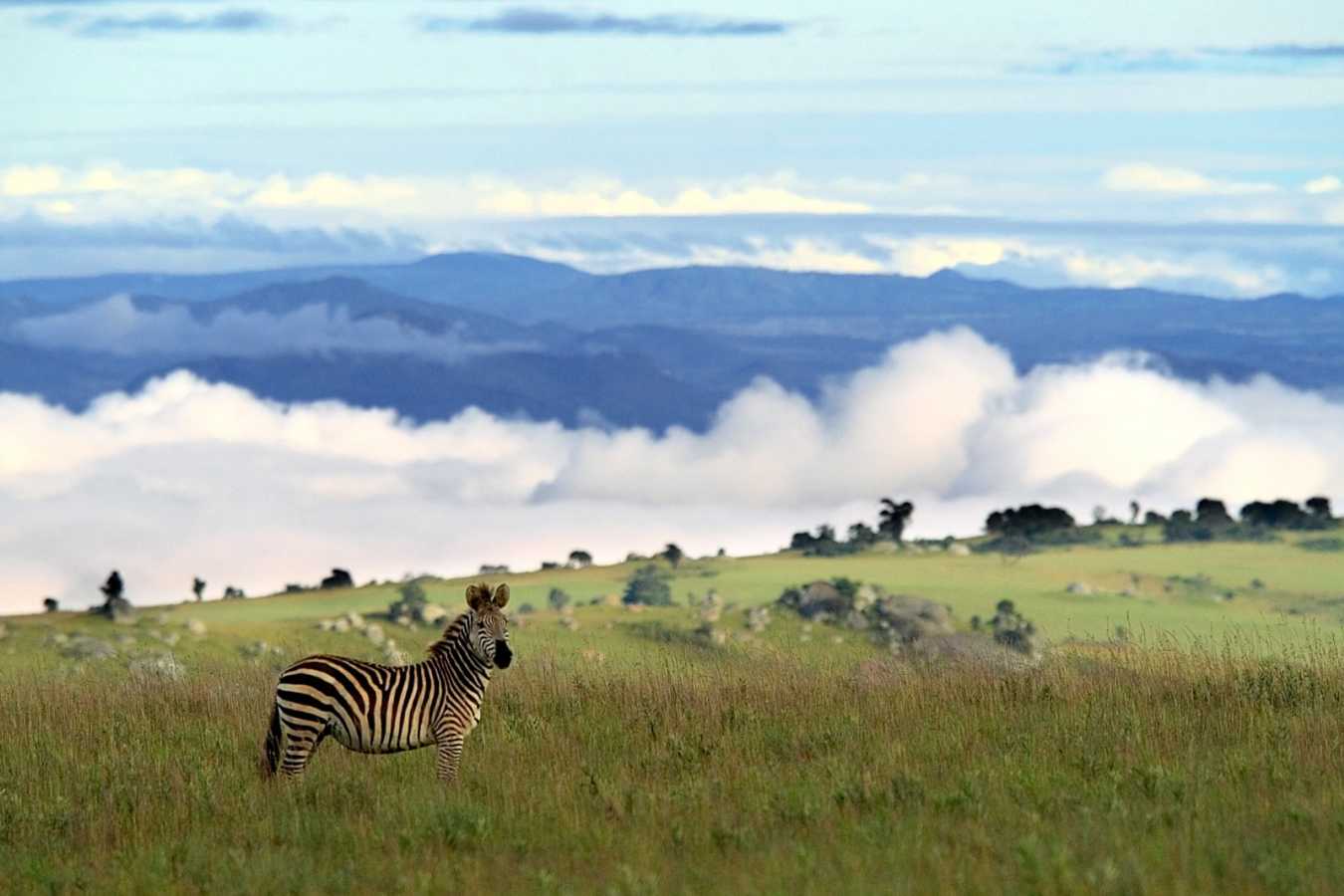 Views forever - Chelinda Lodge