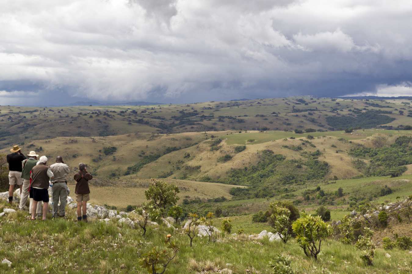 Guided walk - Chelinda Lodge