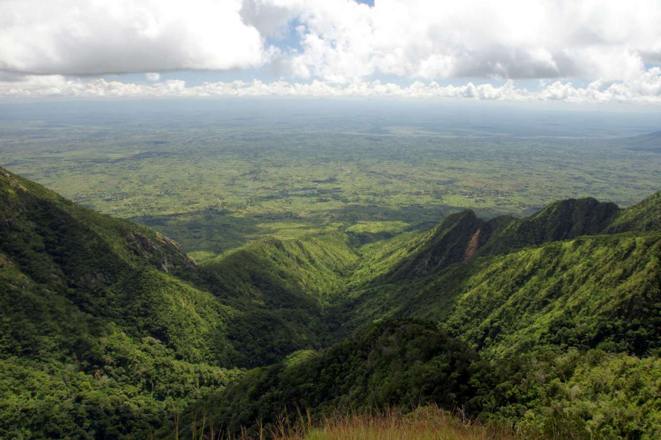 Zomba Plateau - Zomba Forest Lodge