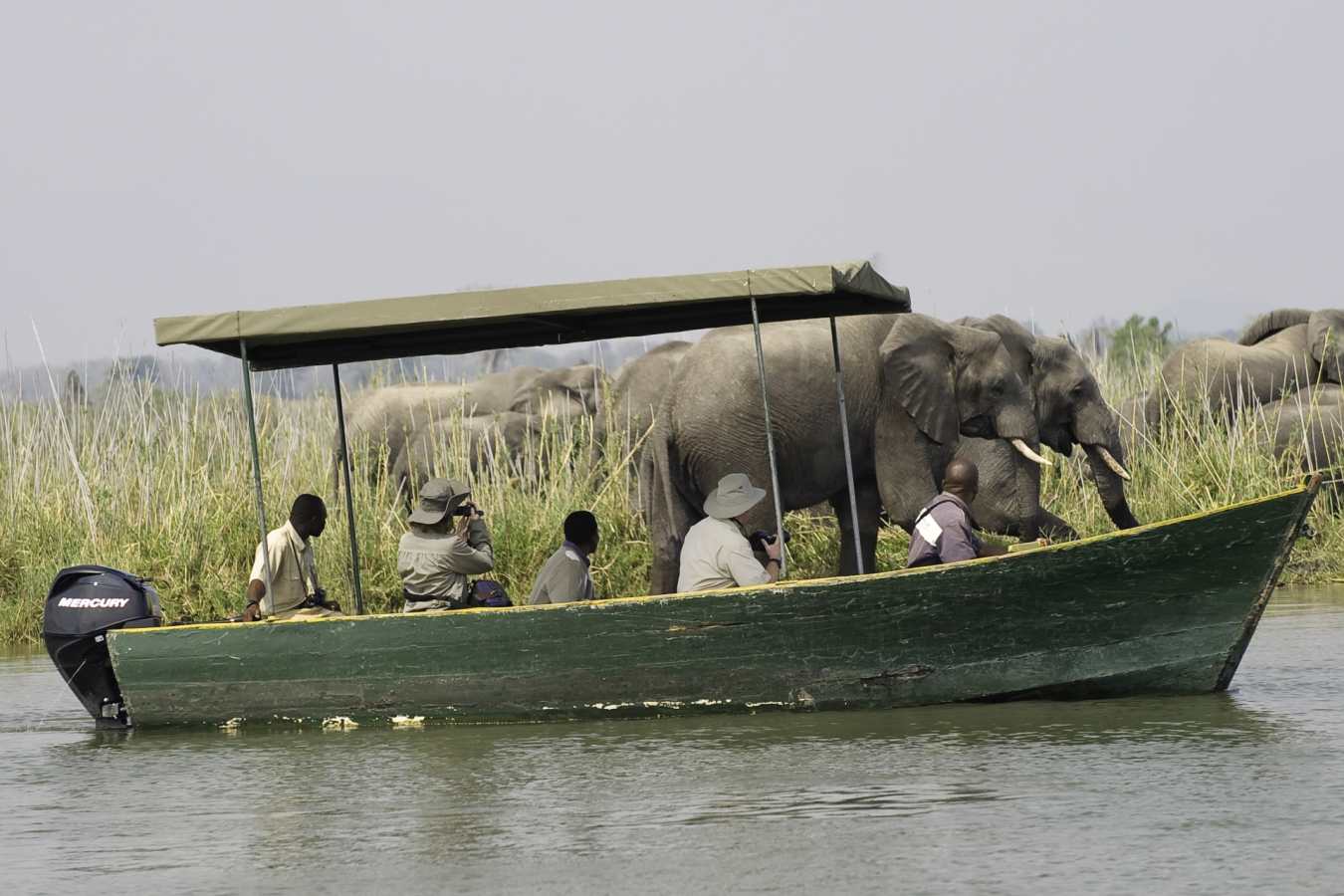 Boating safari