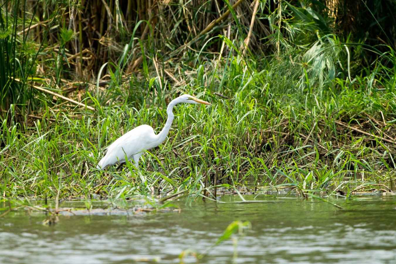 Majete Wildlife Reserve - Malawi Safari and Lake 