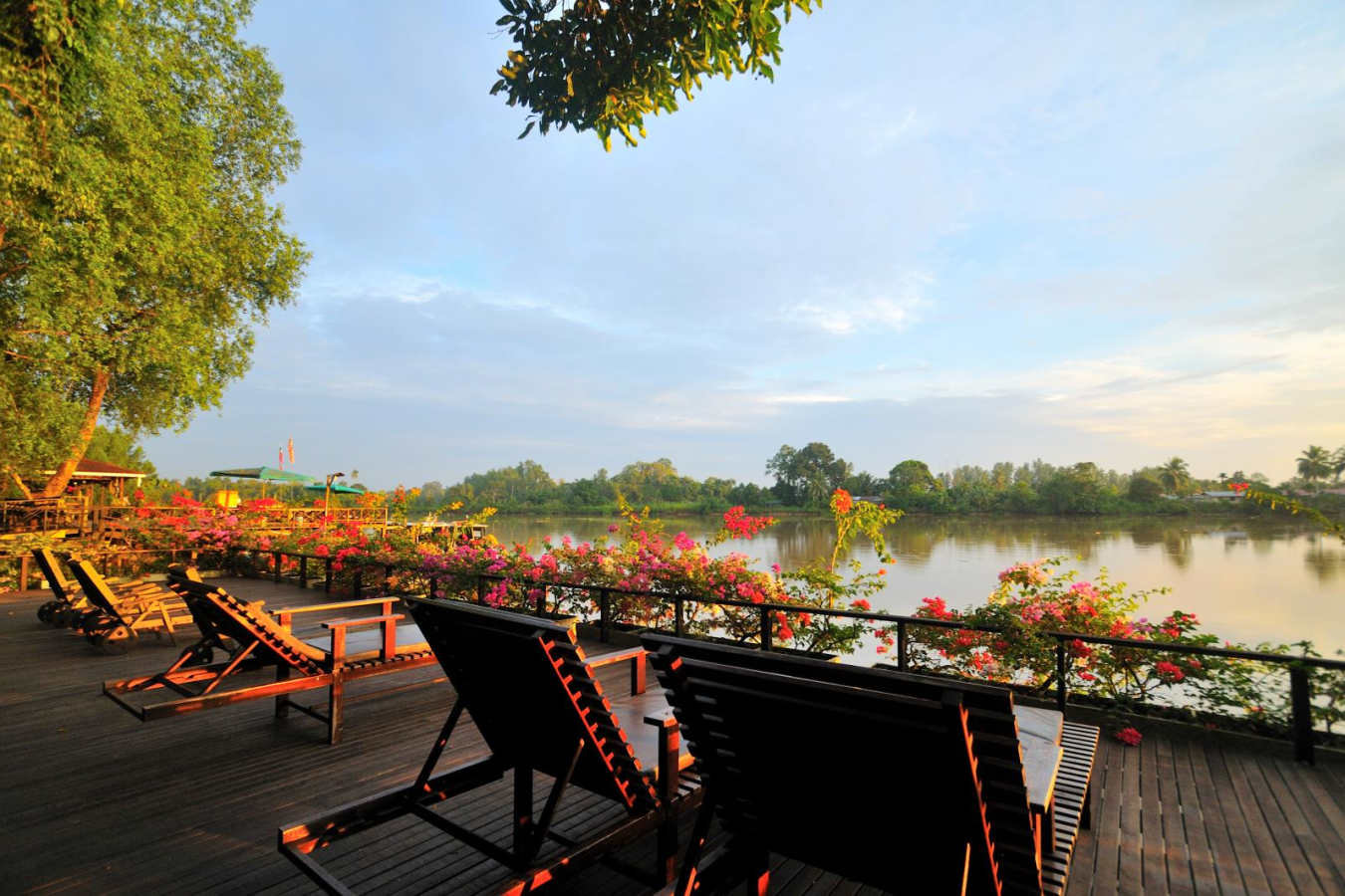 Sun Deck  - Abai Jungle Lodge