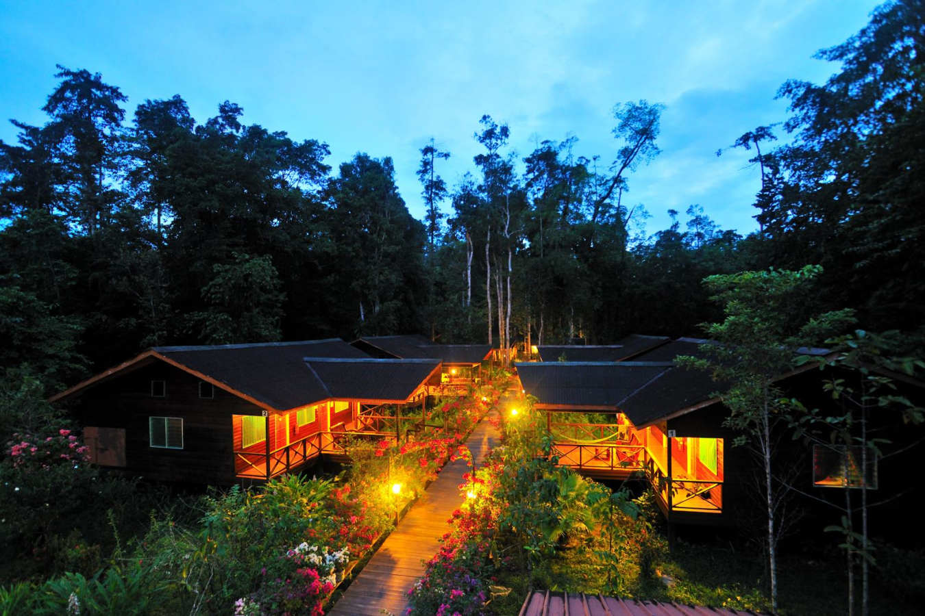 Dusk  - Abai Jungle Lodge