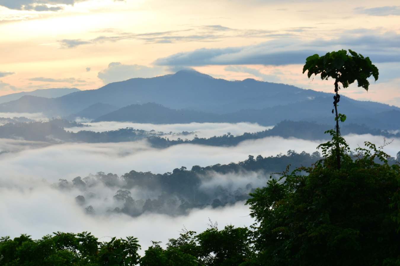 Danum Valley - Borneo Rainforest Lodge