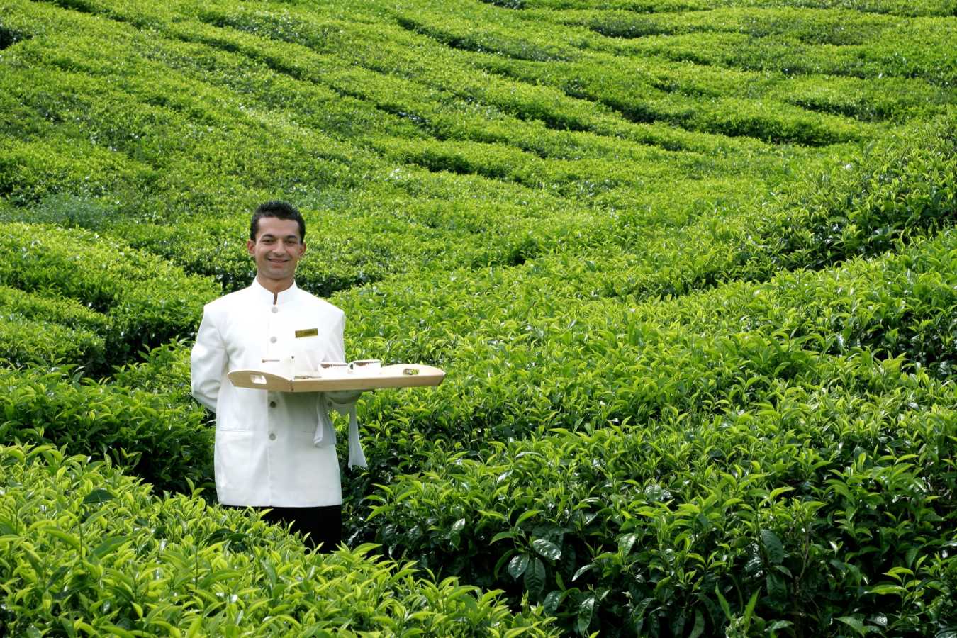 Destination Dining - Cameron Highlands Resort