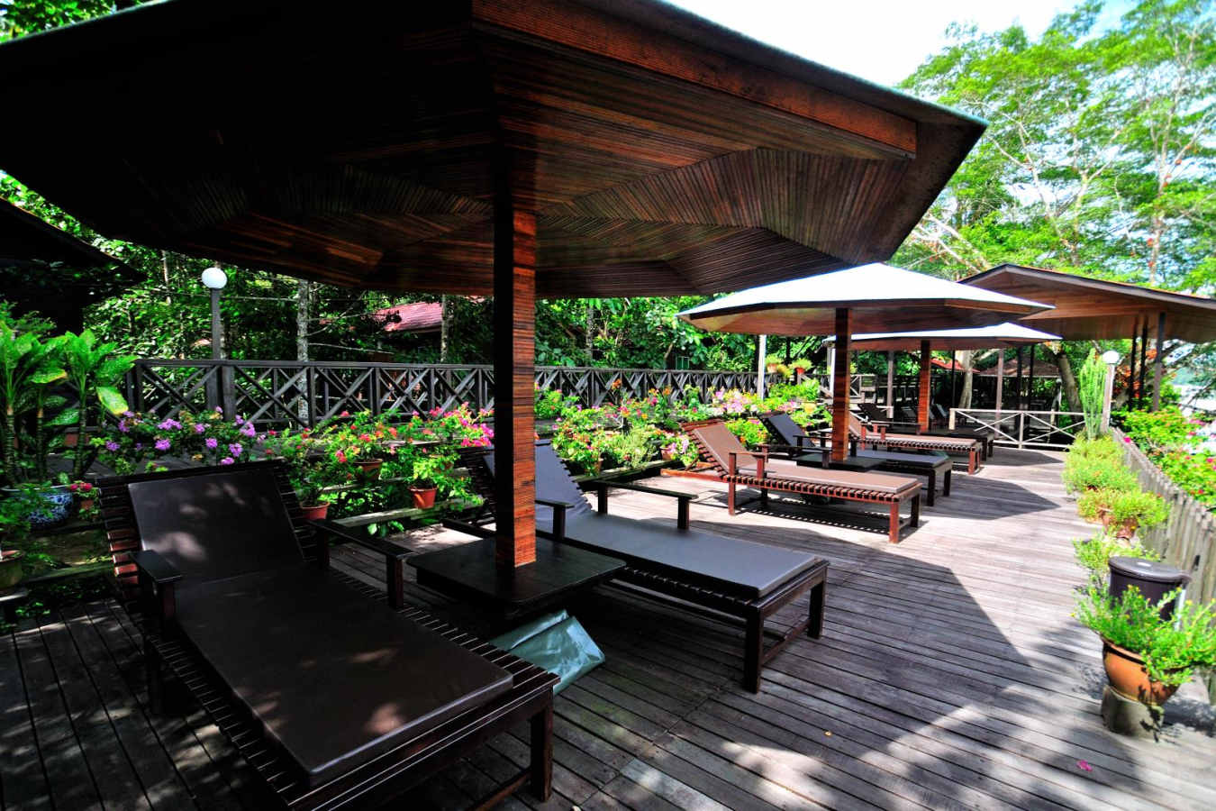 Sun Deck - Kinabatangan Riverside Lodge
