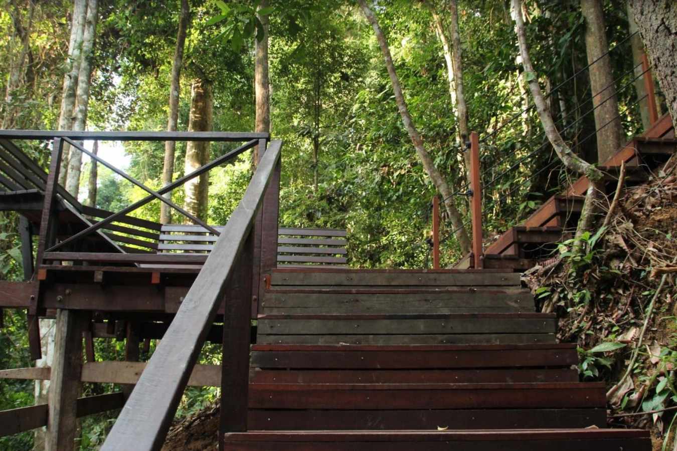 Boardwalk - MY Nature Resort