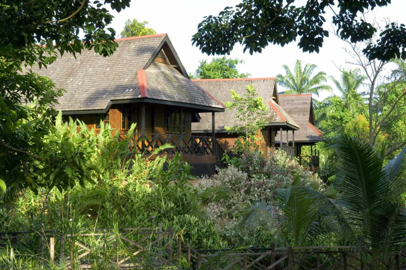 Chalets - Sepilok Nature Resort