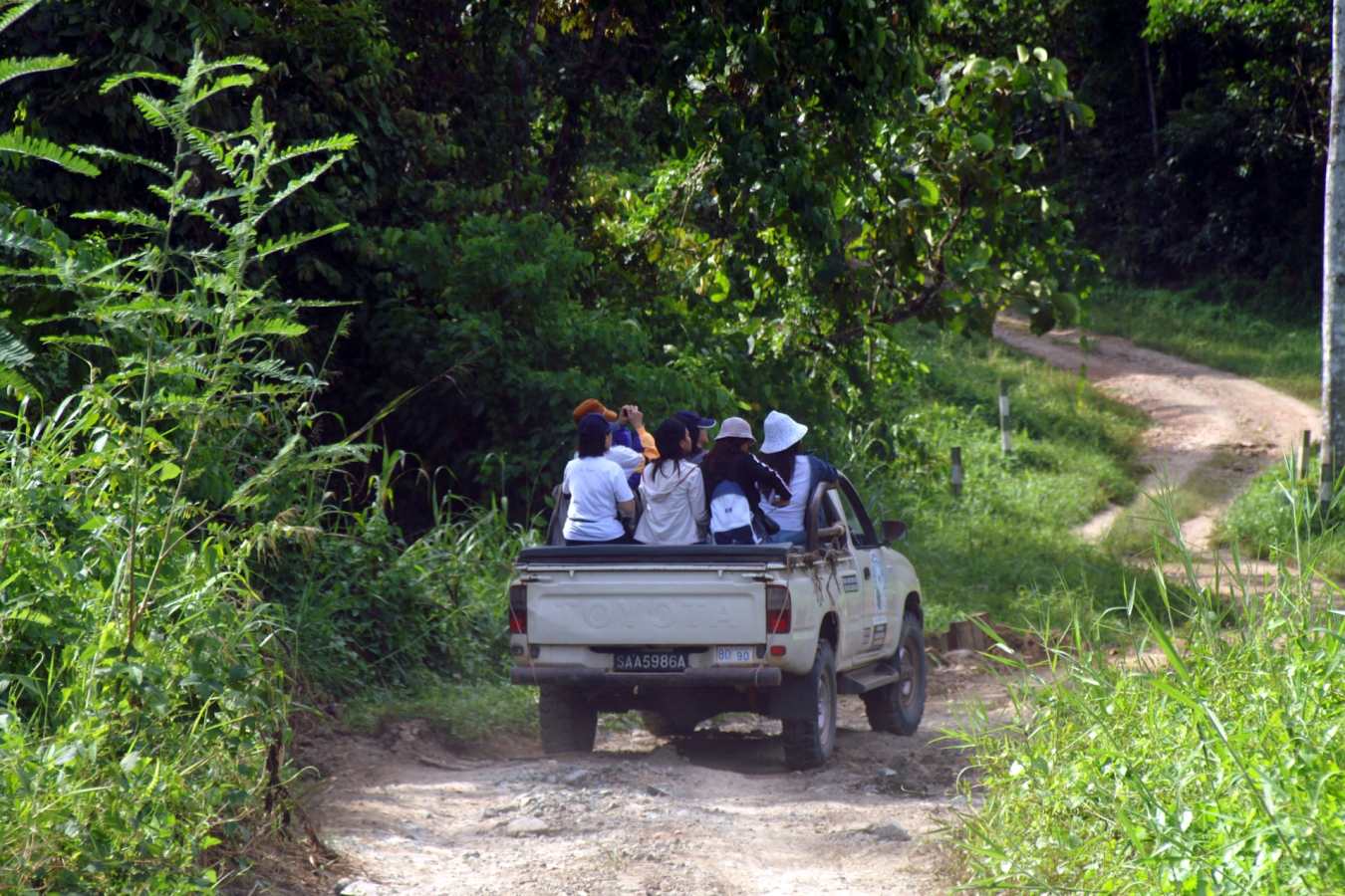 Game Drive - Tabin Wildlife Resort