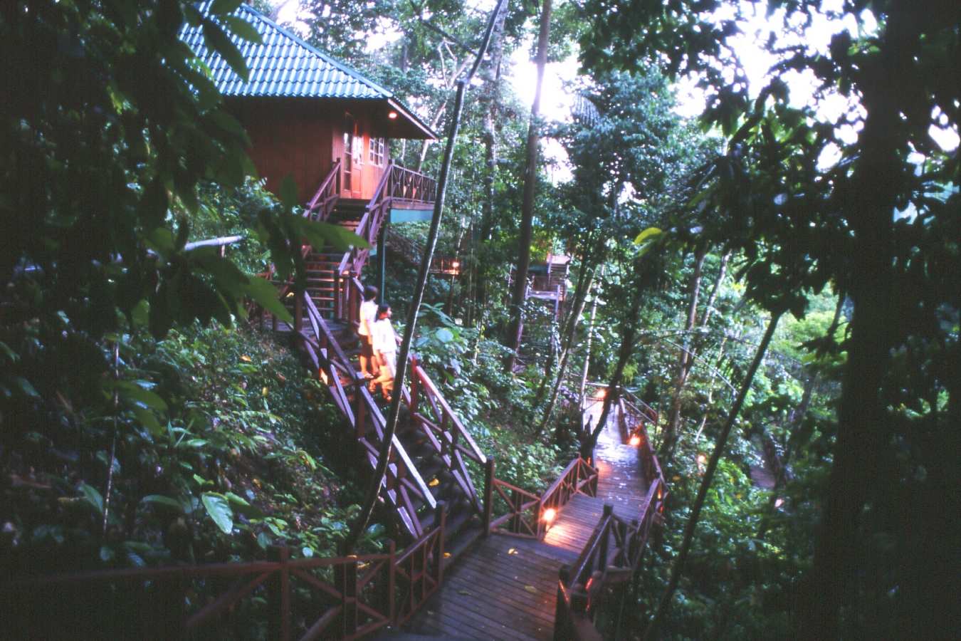 Hill Lodge - Tabin Wildlife Resort