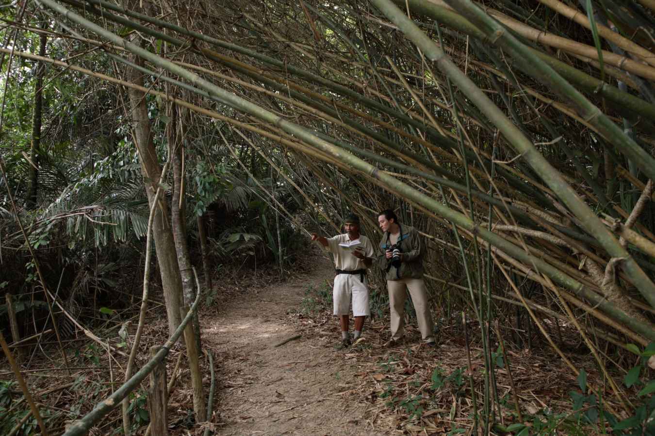 Nature Walk - Tanjong Jara