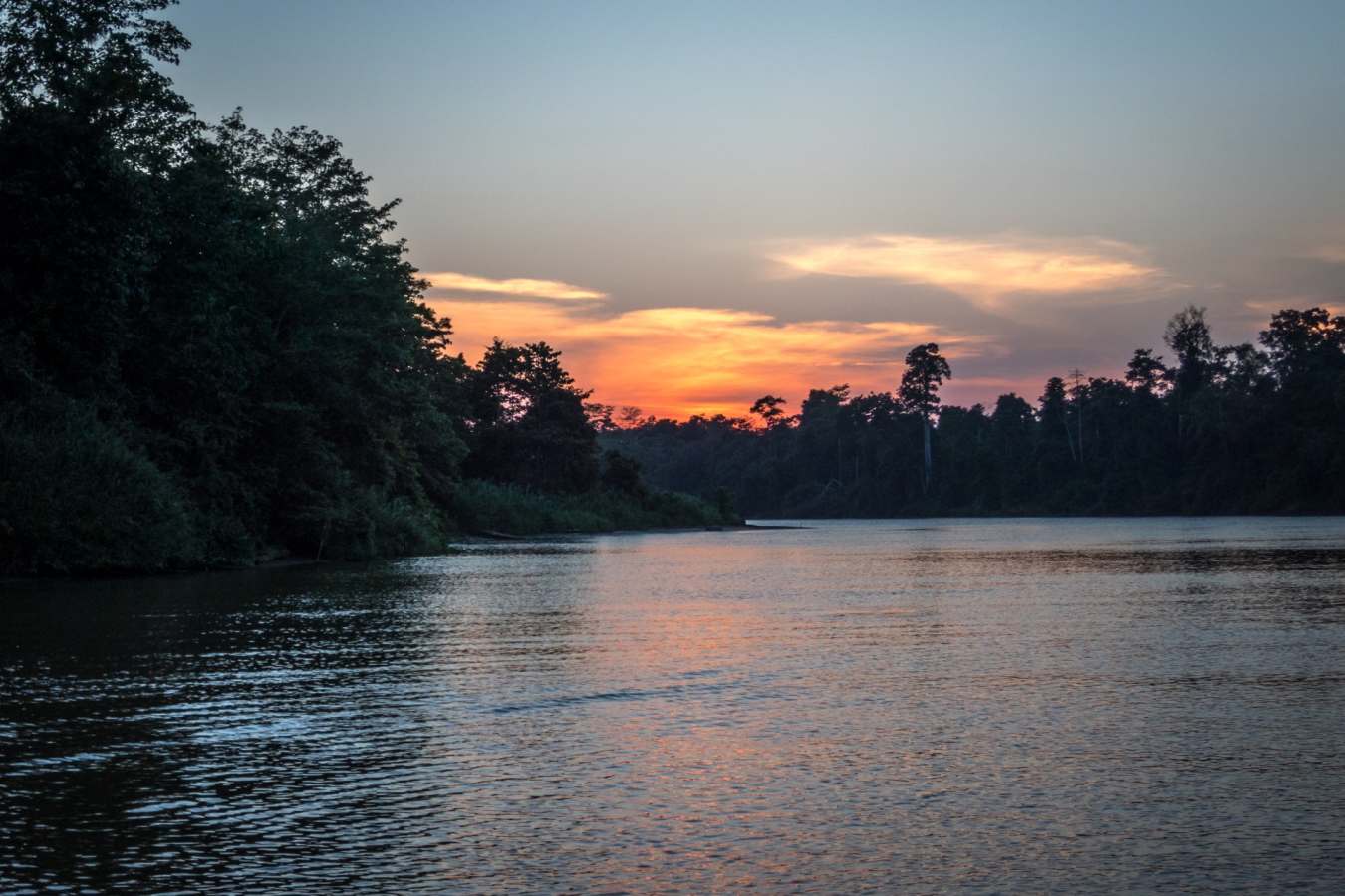 Kinabatangan River - 