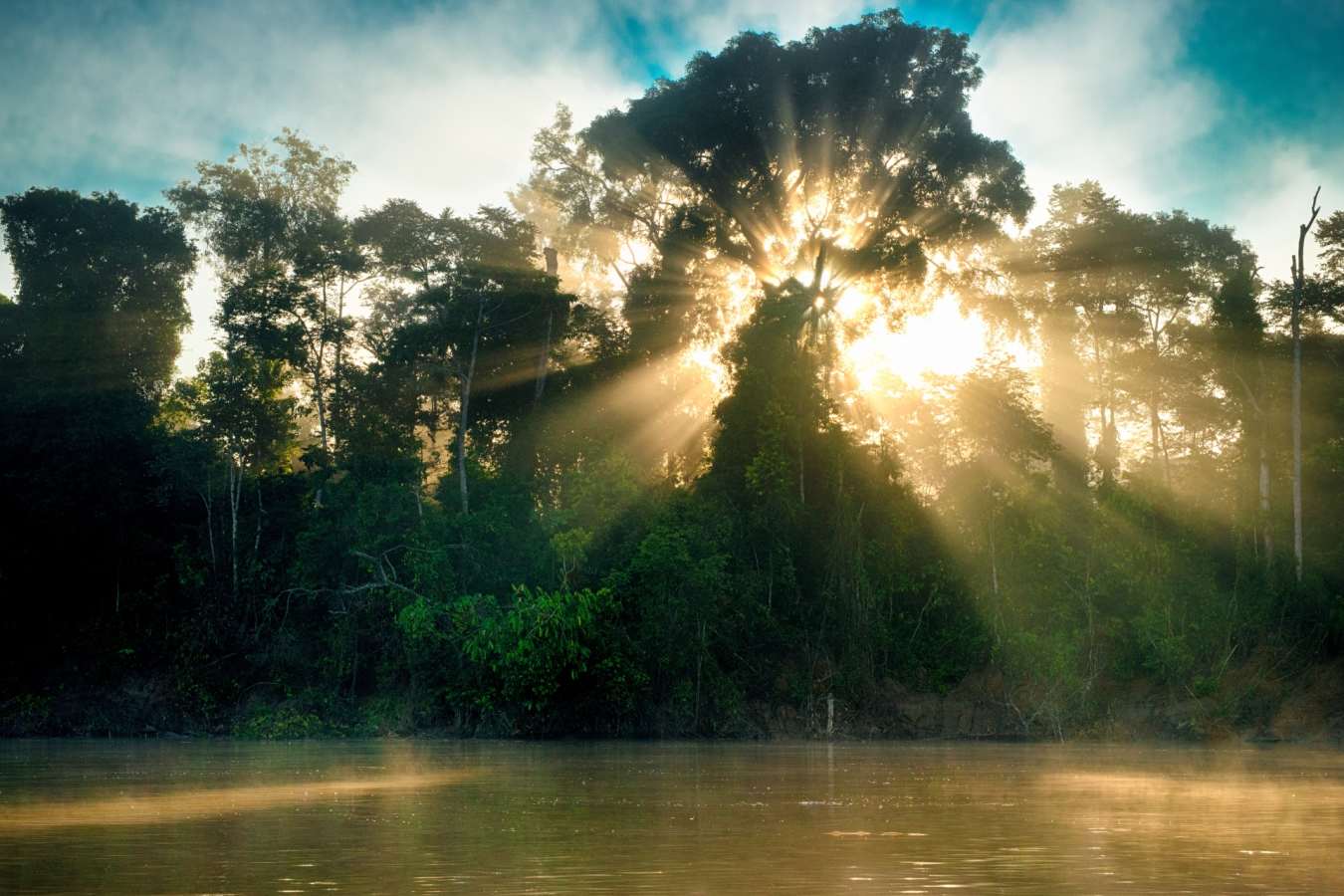 Sunrise on the Kinabatangan River - Malaysia and Borneo Family Adventure